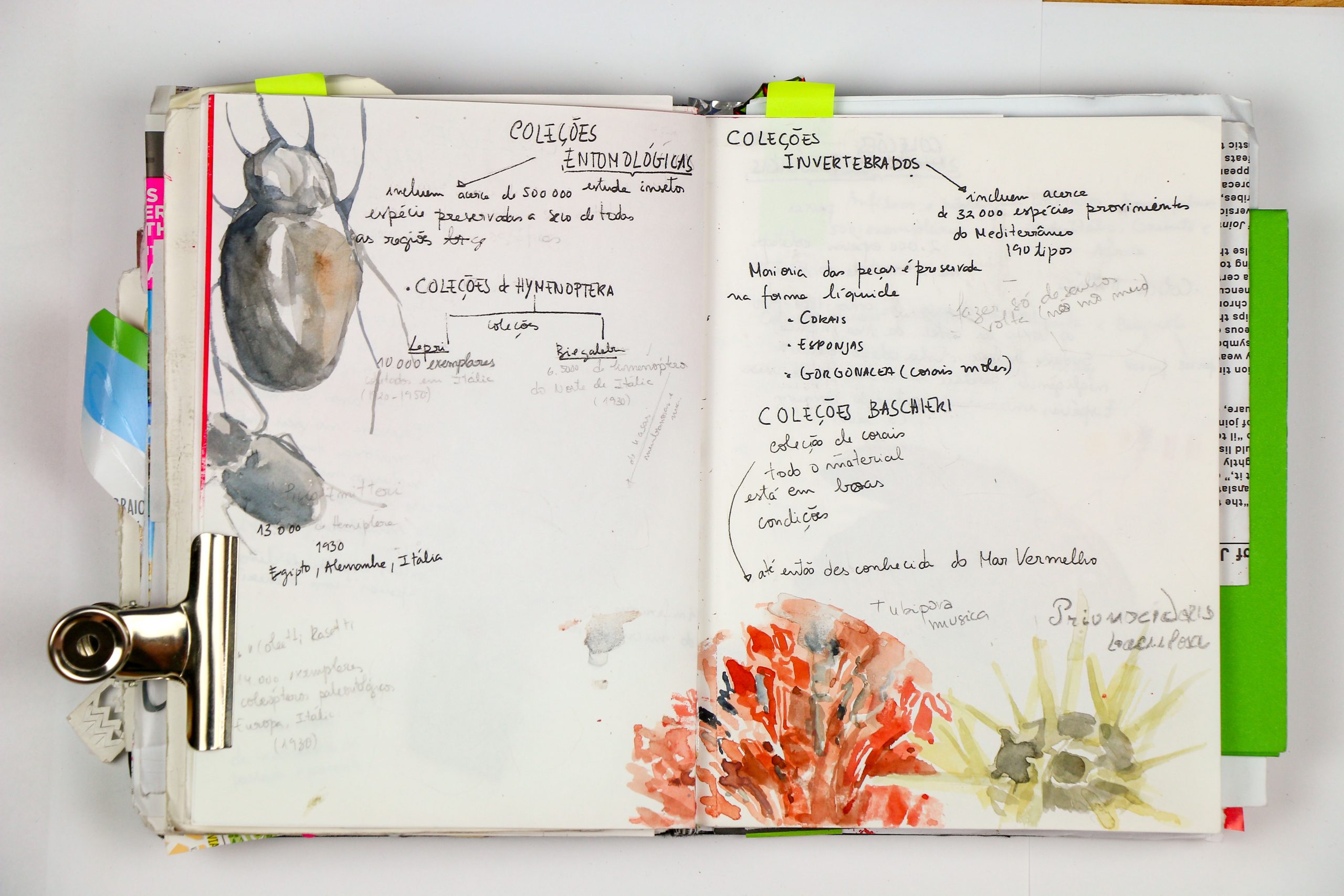 Caderno de Projeto | Margarida FernandesProjeto Arte e Ciência 17/18